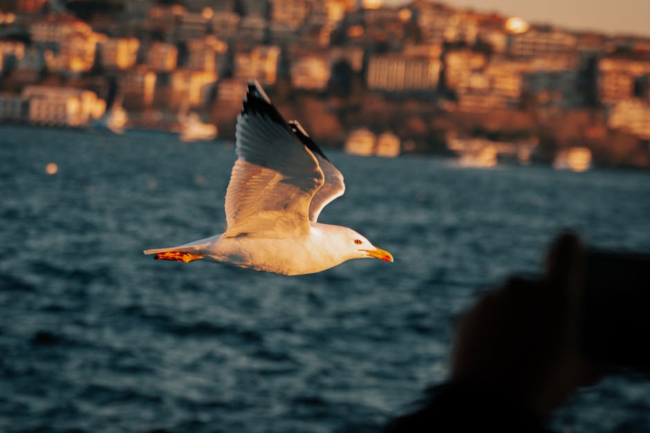 Descoperire tragică: un tânăr de 27 de ani găsit mort în Mioveni