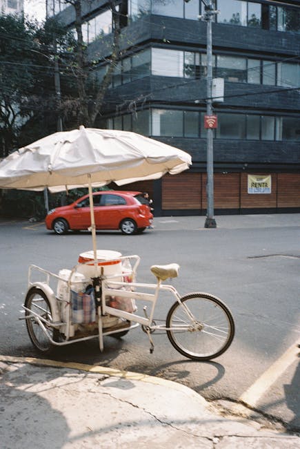 Algeria și România: o relație diplomatică în contextul unei istorii bogate