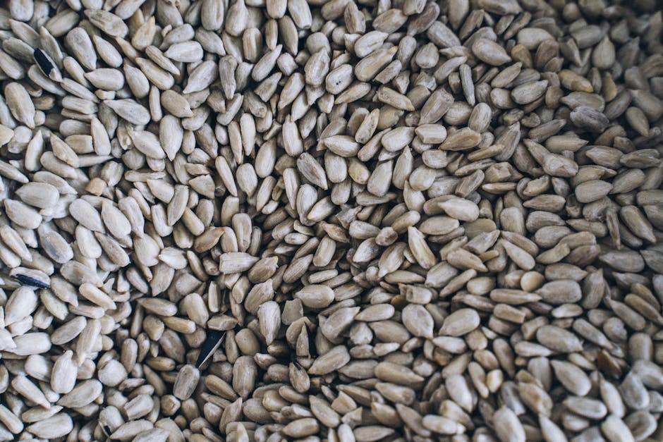 Descoperă uleiul de floarea-soarelui: beneficii surprinzătoare și utilizări în bucătărie