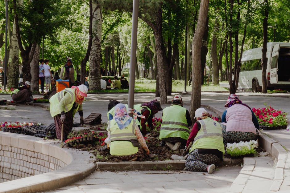 Colaborare inedită între Primăria Găești și Penitenciarul Găești pentru orașul verde