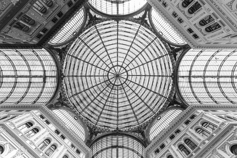 Cătălin Drulă își lansează candidatura pentru Primăria Capitalei, cu sprijinul lui Nicușor Dan