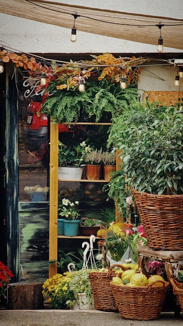 Cătălin Drulă își lansează candidatura pentru Primăria Bucureștiului cu sprijinul lui Nicușor Dan