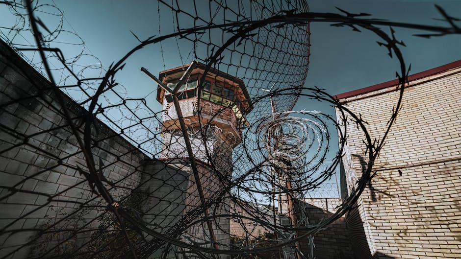 România și SUA, parteneri mai strânși în securitatea frontierelor și combaterea crimei