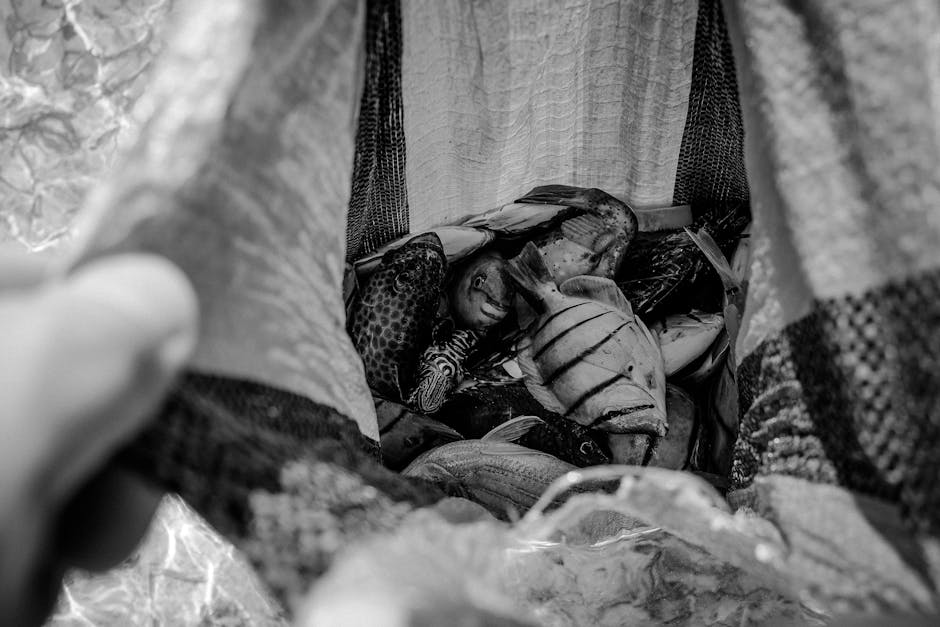 Descoperiri uluitoare în Marea Neagră: Poliția de Frontieră confiscă plase ilegale