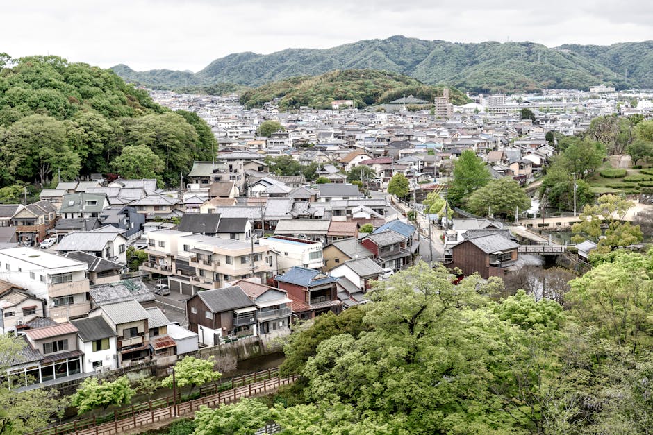 Călărași lansează o campanie de împădurire: participă la plantarea de toamnă!