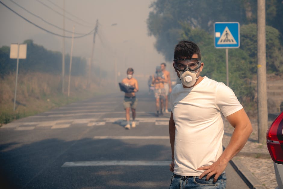 Canicula din Europa: De ce continentul se încălzește mai rapid și cum ne putem proteja
