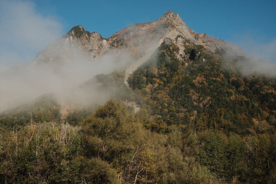 Japonia își propune un summit istoric cu Kim Jong Un pentru a rezolva problema răpirilor