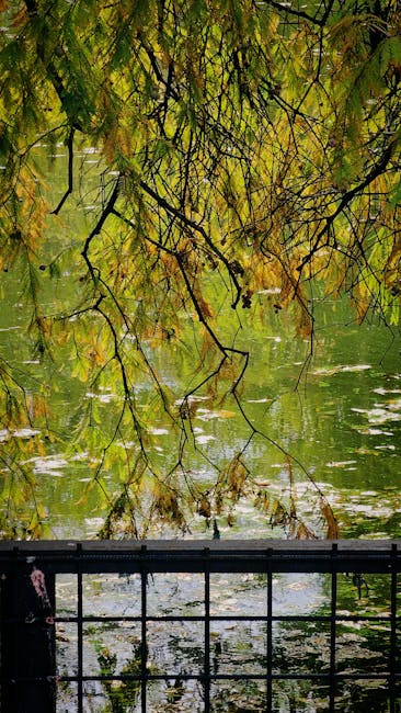 Deputatul AUR cere acces gratuit la apă potabilă în aeroporturile din România