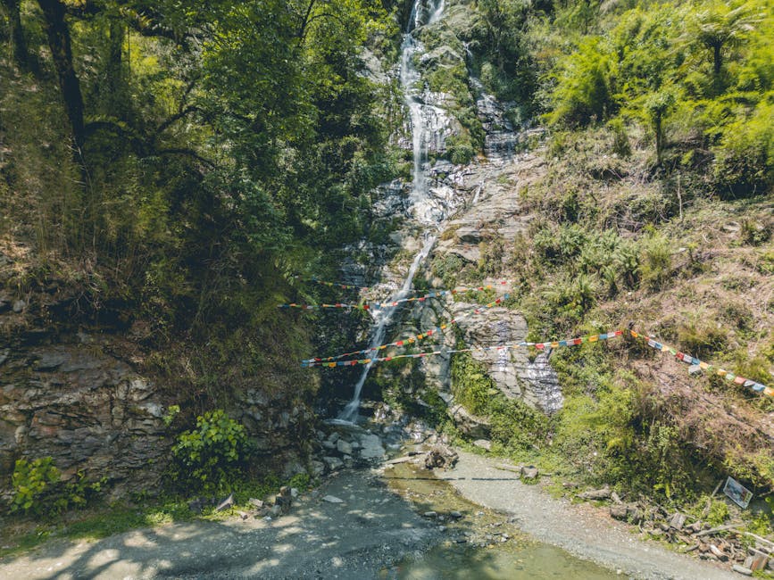 Tradiție și curaj: Militarii Batalionului „Cireșoaia” sărbătoresc Ziua Vânătorilor de Munte pe Vârful Moldoveanu