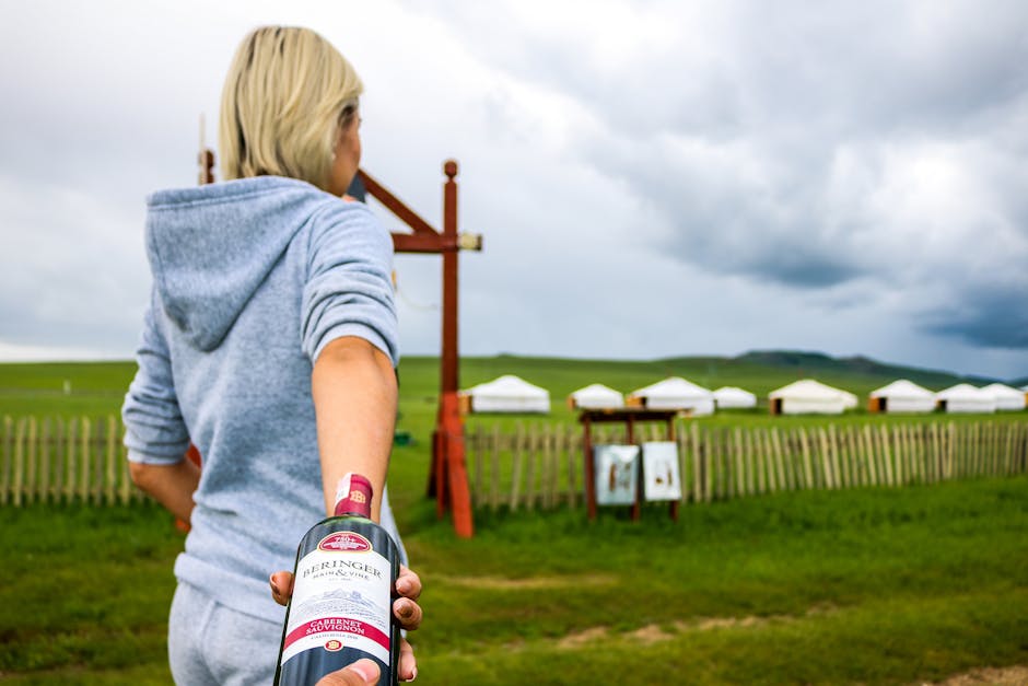 Bărbat din UK fură vinuri de lux, dar scapă de închisoare cu o sentință surprinzătoare