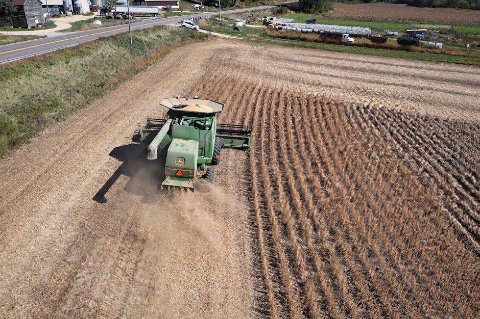 De ce aratul toamna este esențial pentru recoltele de primăvară