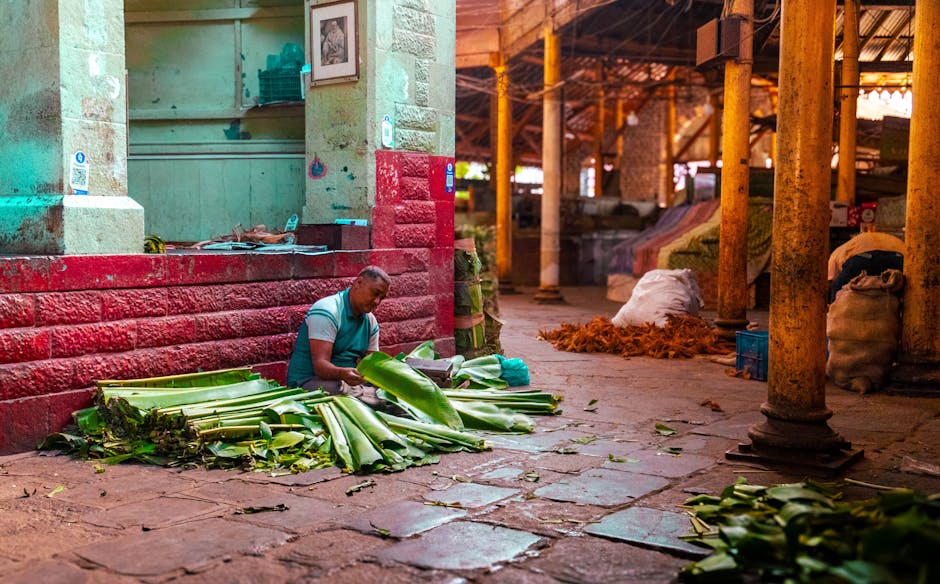 Investiție de 4 milioane de lei în piața agroalimentară din Tinca: sprijin pentru producătorii locali