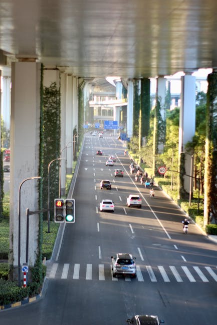 Lecții de siguranță rutieră pentru elevii din Tismana