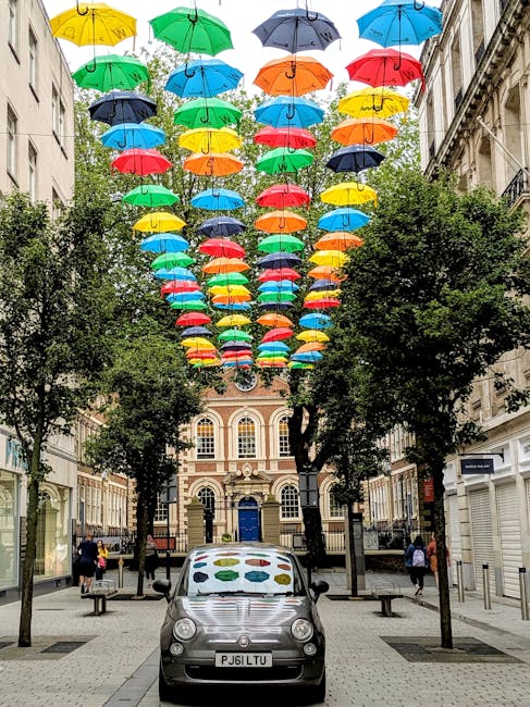 Timișul se alătură rețelei globale de turism creativ