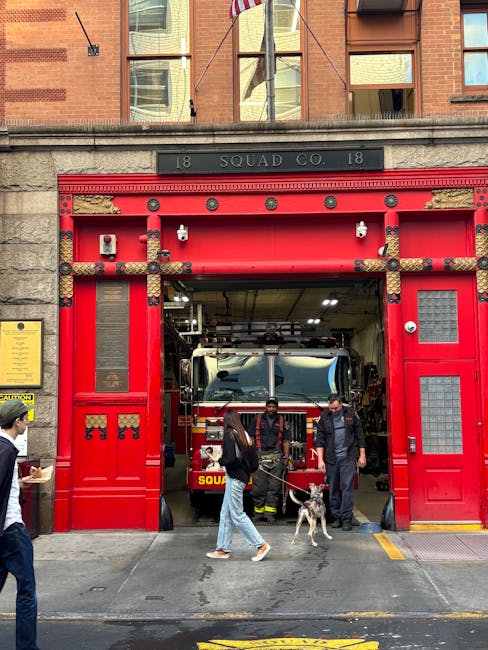 Un accident tragic în Zalău: un câine rănit, dar ajutat de trecători