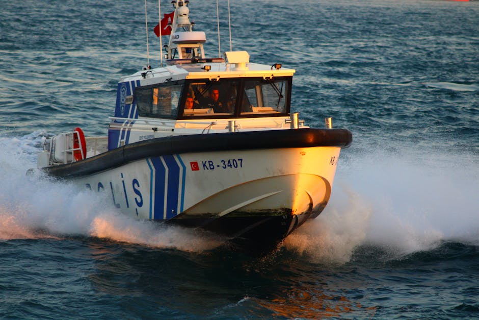 Declarațiile premierului Niculescu privind incidentul maritim din Marea Neagră