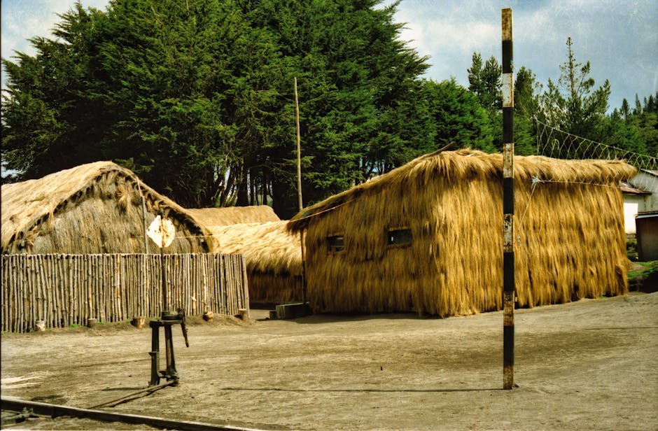 Amish: 300 de ani de tradiție și adaptare în fața modernității