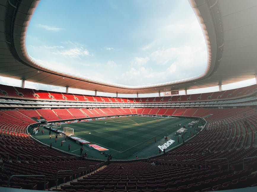 Investiții semnificative pentru Arena Eroii Timișoarei: CJ Timiș se implică!