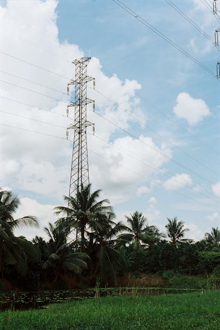 Rețea feroviară de mare viteză: Comisia Europeană accelerează dezvoltarea transportului sustenabil