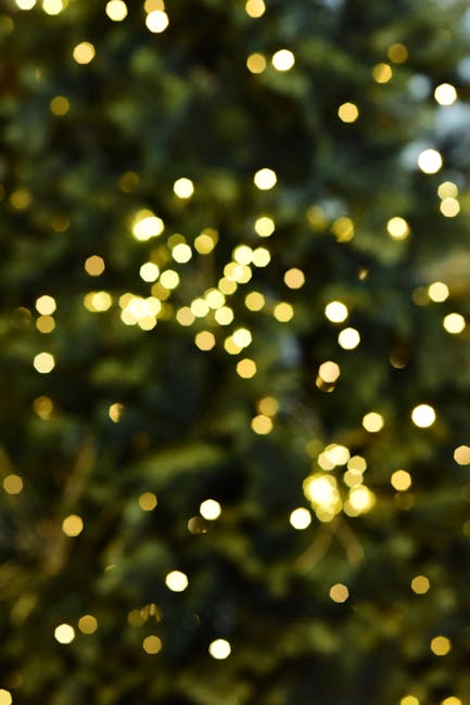 Bistrița se transformă în sărbătoare: brad natural și cartiere împodobite