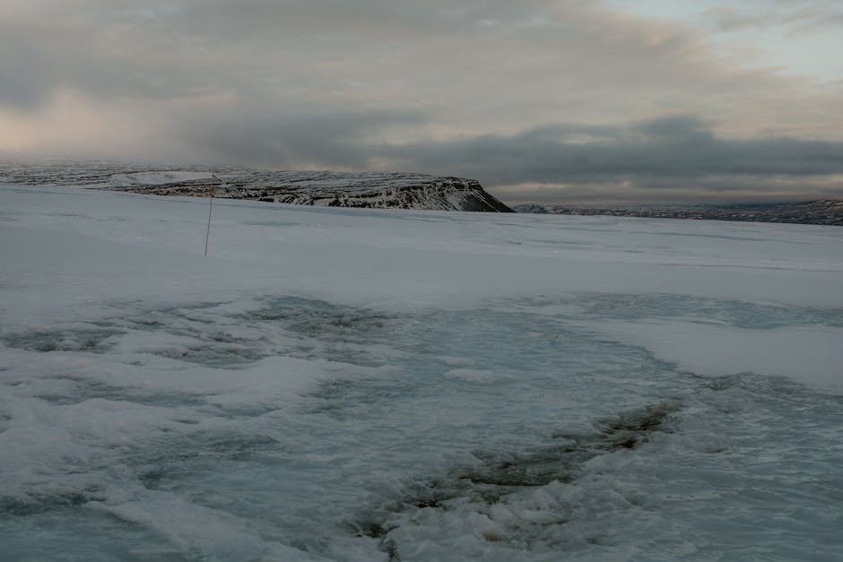 Iarnă geroasă în perspectiva: ce ne rezervă vortexul polar afectat