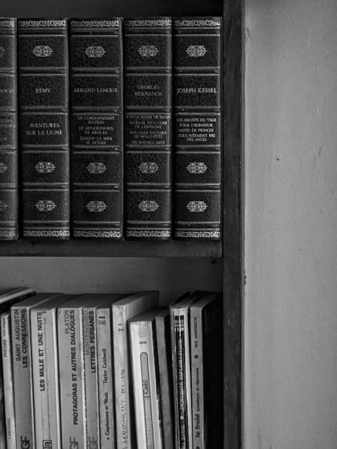 Descoperă inovațiile muzeului: proiectul Fain în sat își încheie parcursul