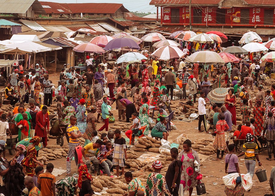 GP Plaza Hunedoara: noul centru comercial care promite să transforme economia locală