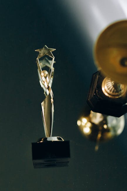 Începe competiția: Nominalizările la Premiile de Excelență ale Argeșului 2026