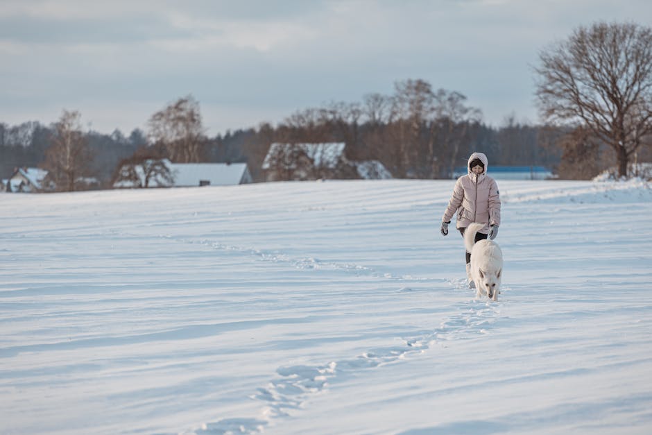Sezonul de iarnă se apropie: pregătirile la Durău Park sunt în plină desfășurare!