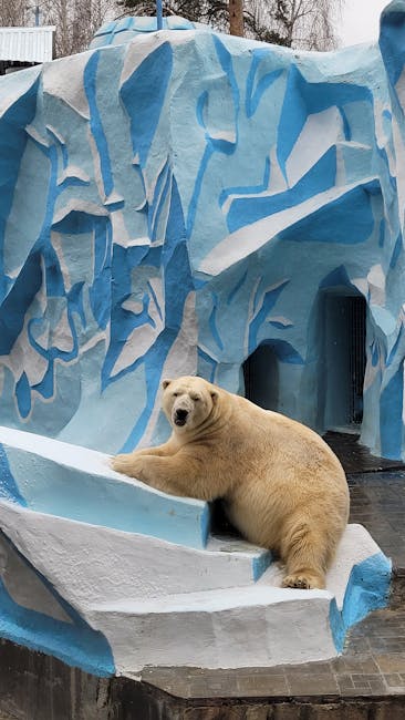 Guvernul ia măsuri rapide împotriva atacurilor de urși: ce se va întâmpla cu exemplarele periculoase