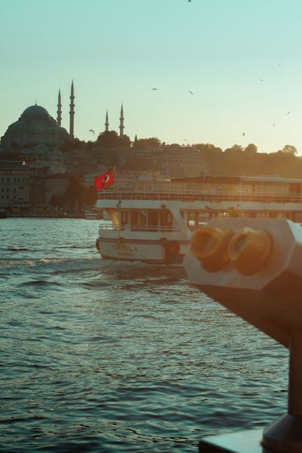 Cum se rezolvă problemele de fond funciar în Târgu Lăpuș