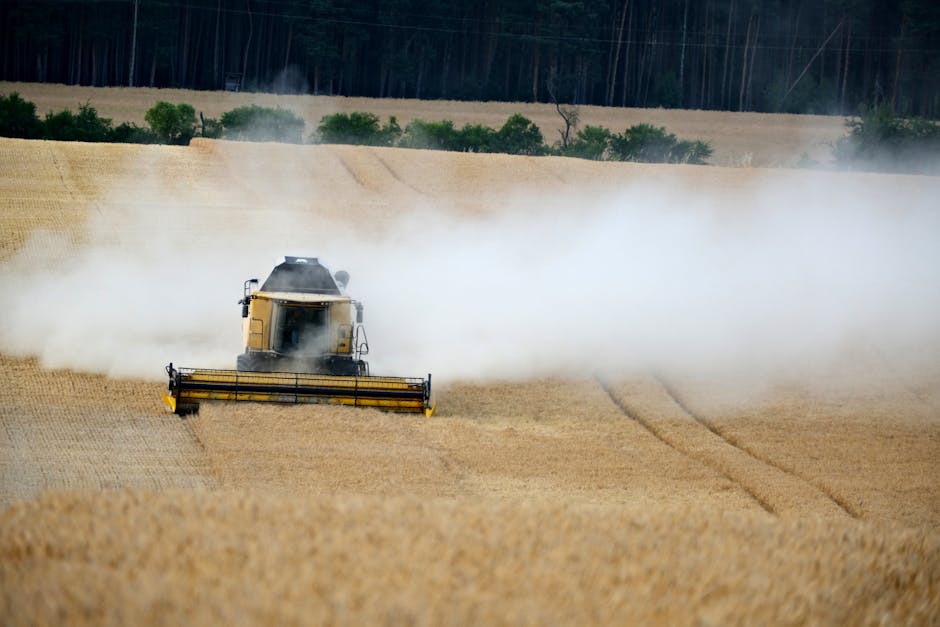 Fugă spectaculoasă: un bărbat din Iași a înșelat o bistrițeancă cu 120.000 de lei