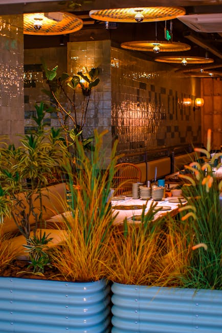 Descoperă noul restaurant Darina din Târgu Mureș, unde gustul și atmosfera se îmbină perfect