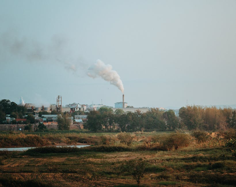 Centura Verde a Bucureștiului: un proiect care promite să transforme viața locuitorilor