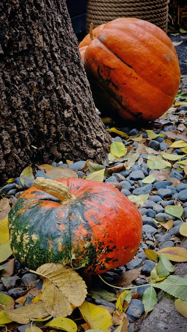 Charley Ottley devine cetățean român: o onoare și un nou început