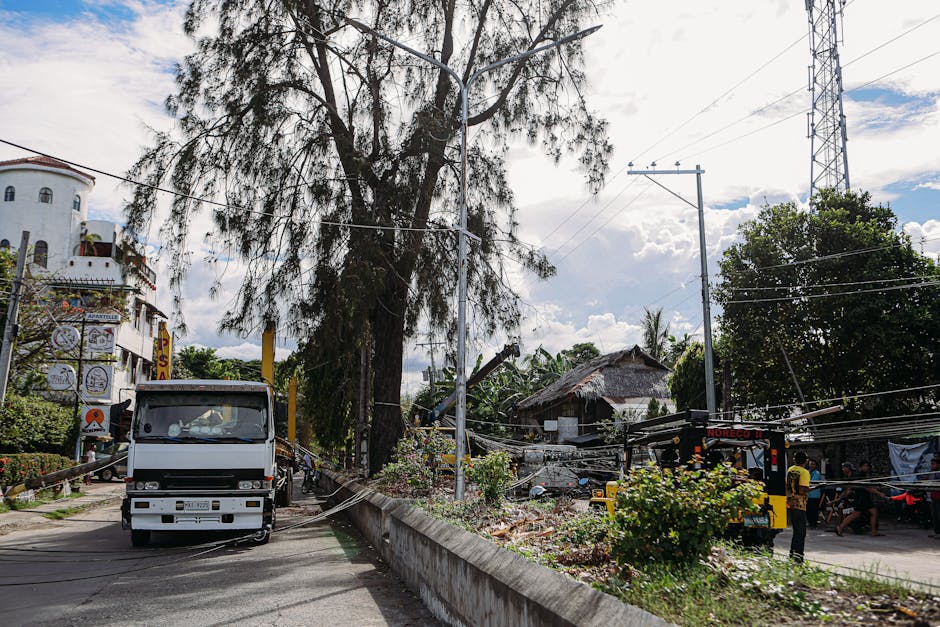 Incident de trafic în Timișoara: tir blocat timp de 30 de minute în fața UVT