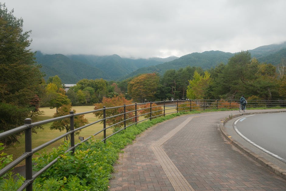 Bihorul îmbrățișează mobilitatea verde cu noi piste de biciclete pe diguri