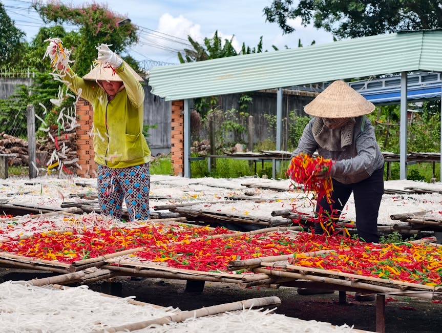 Nicușor Dan avertizează: Creșterea salariului minim ar putea genera șomaj