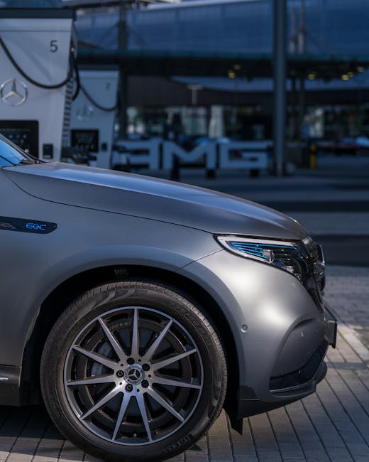 Cluj-Napoca îmbrățișează ecologia: Emil Boc promite un viitor verde pentru oraș