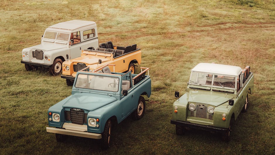 Louis Schweitzer, vizionarul din spatele Dacia, a trecut în neființă