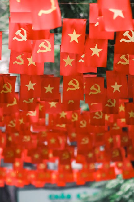 PSD își redefinește identitatea: un nou început pentru patriotismul economic