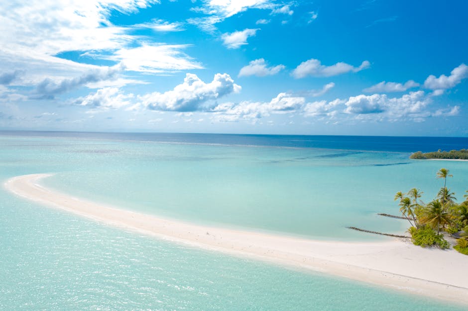 Descoperă cele mai captivante destinații pentru Revelionul 2026