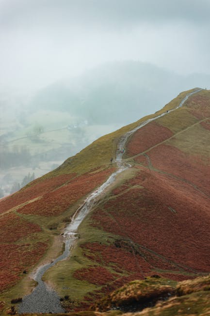 Cod galben de vânt puternic în Dâmbovița: pregătirile pentru iarnă