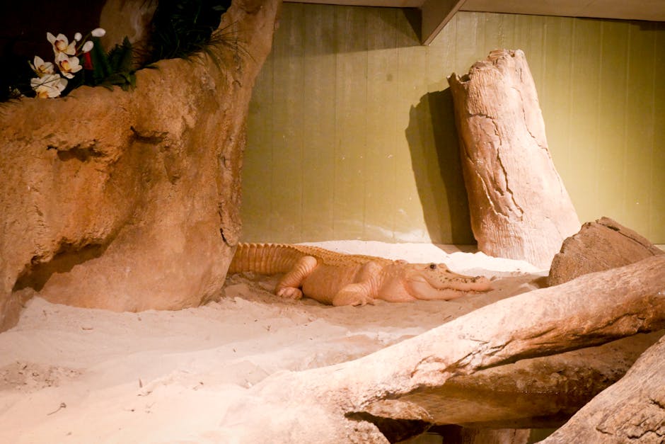 Descoperă vulturul sur, o specie rară la Muzeul Județean Mureș