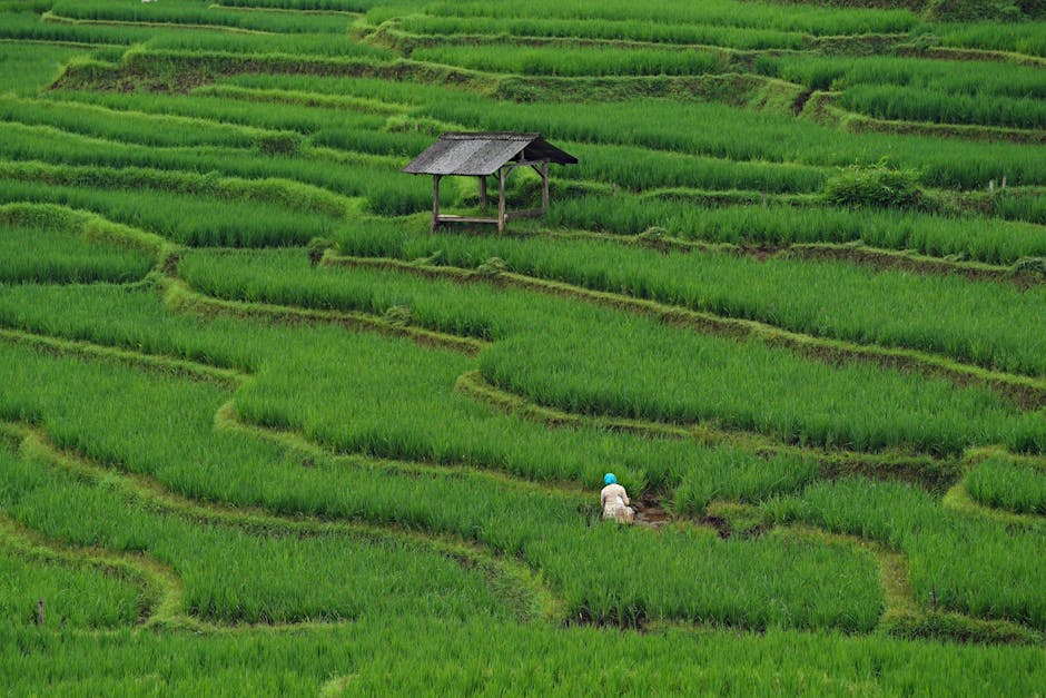 Locuitorii din Arhitecților se confruntă cu un miros insuportabil: apeluri la autorități