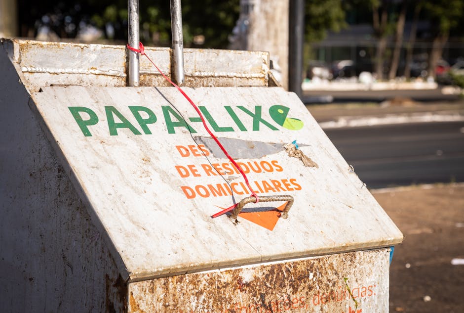 Programul de colectare a deșeurilor în Bacău: detalii esențiale pentru noiembrie 2025