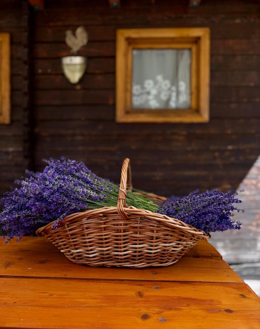 Un mentor al geografiei din Gorj a părăsit această lume