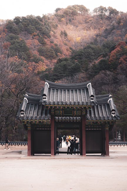 Descoperă splendorile toamnei în Parcul Național Defileul Jiului