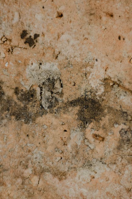 Probleme grave la blocul Arcadia: Eduard Grama denunță infiltrații și mucegai