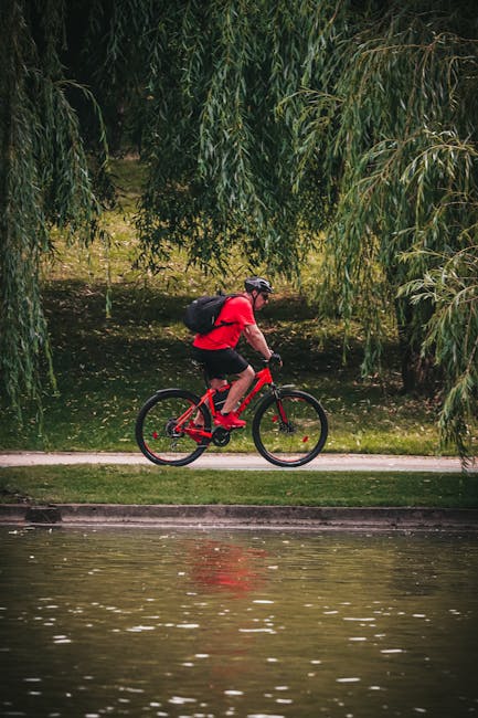 Noua pistă de biciclete de pe Someșul din Satu Mare ia forme noi